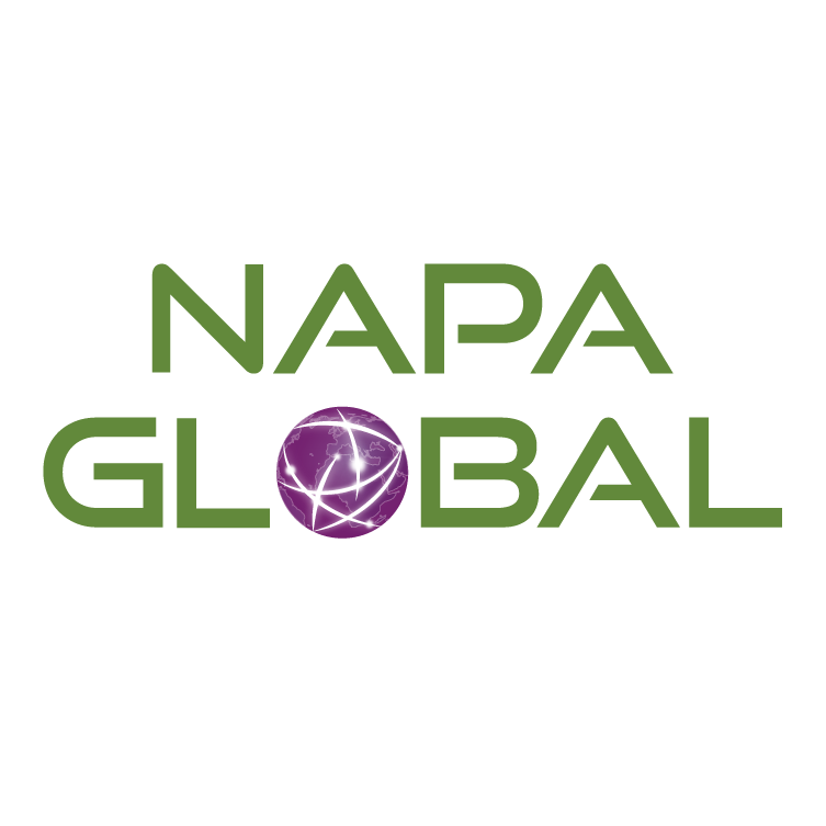 NAPA Global - IT Services and Consulting