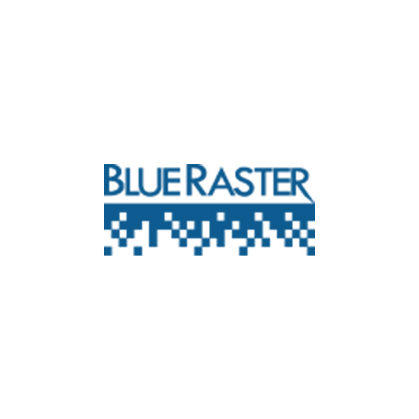 Blueberry Consultants
