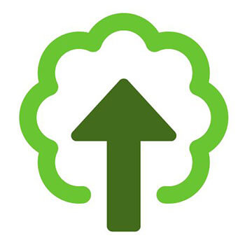 Treetop Interactive